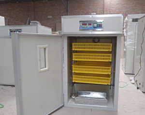 華英農業(yè)曹家富：家禽養(yǎng)殖的“臟亂差”正在改變