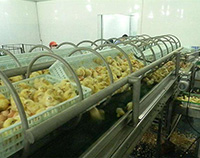 仁川某生態(tài)養(yǎng)殖公司