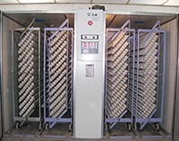 風(fēng)門顯示始終為“9”